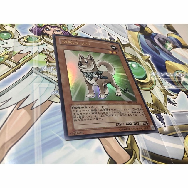 遊戯王 - 柴戦士タロ ウルトラレア 4つ目 YAP1-JP009の通販 by 【3周年