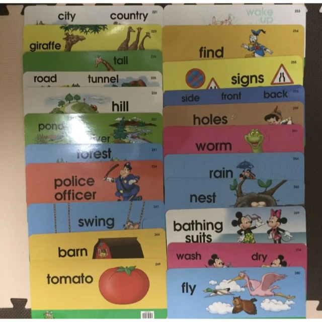 トークアロングカード 両面デジタル バラ売り DWE ディズニー英語