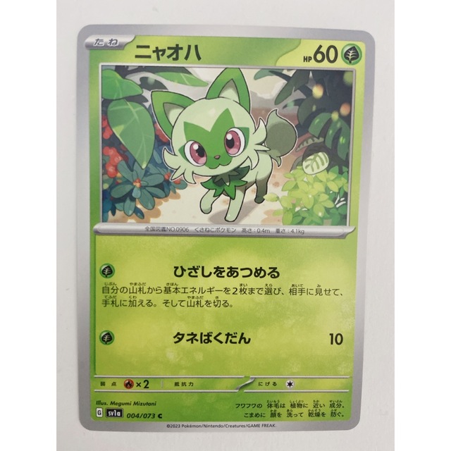 ポケモン - L様専用ページの通販 by みいしょっぷ｜ポケモンならラクマ