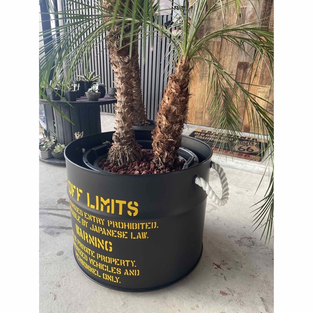 ドラム缶リメイクプランターの通販 by H&M FACTORY｜ラクマ