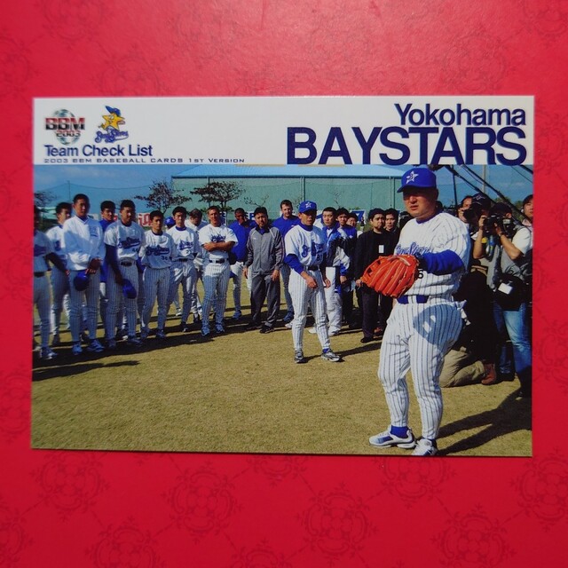 横浜DeNAベイスターズ - プロ野球カード 横浜ベイスターズ2003の通販