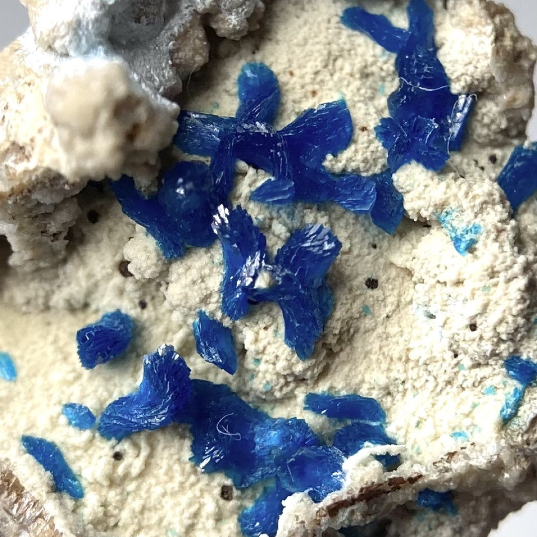 ベゼリ石 ベゼライト 母岩付き 鉱物 鉱石 天然石 原石 鉱物標本の通販