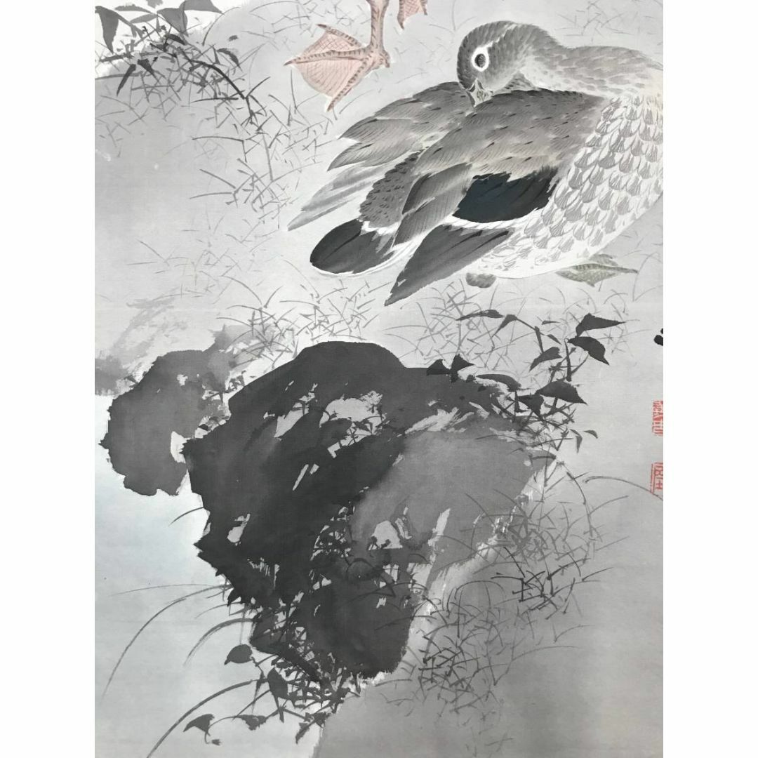 真作】深田直城/寒汀オシドリ図/鴛鴦図/花鳥図/掛軸/名家伝来/AD-382