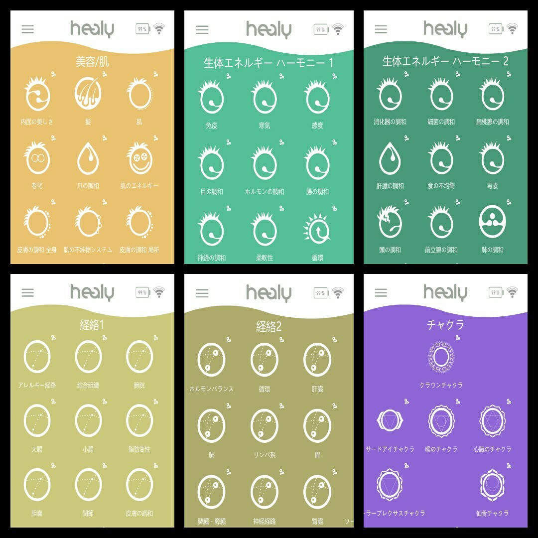 ヒーリー Healy レゾナンス 月々の支払い無し プロフェッショナルと