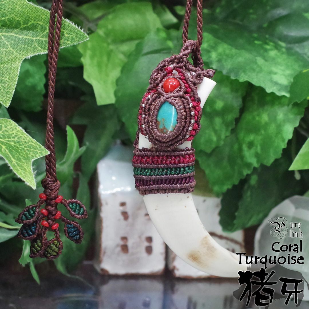 1月7日値下げ 猪の牙 4本セット 送料込み 【公式通販】