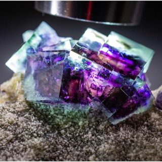 2082581180.jpg?1699354516