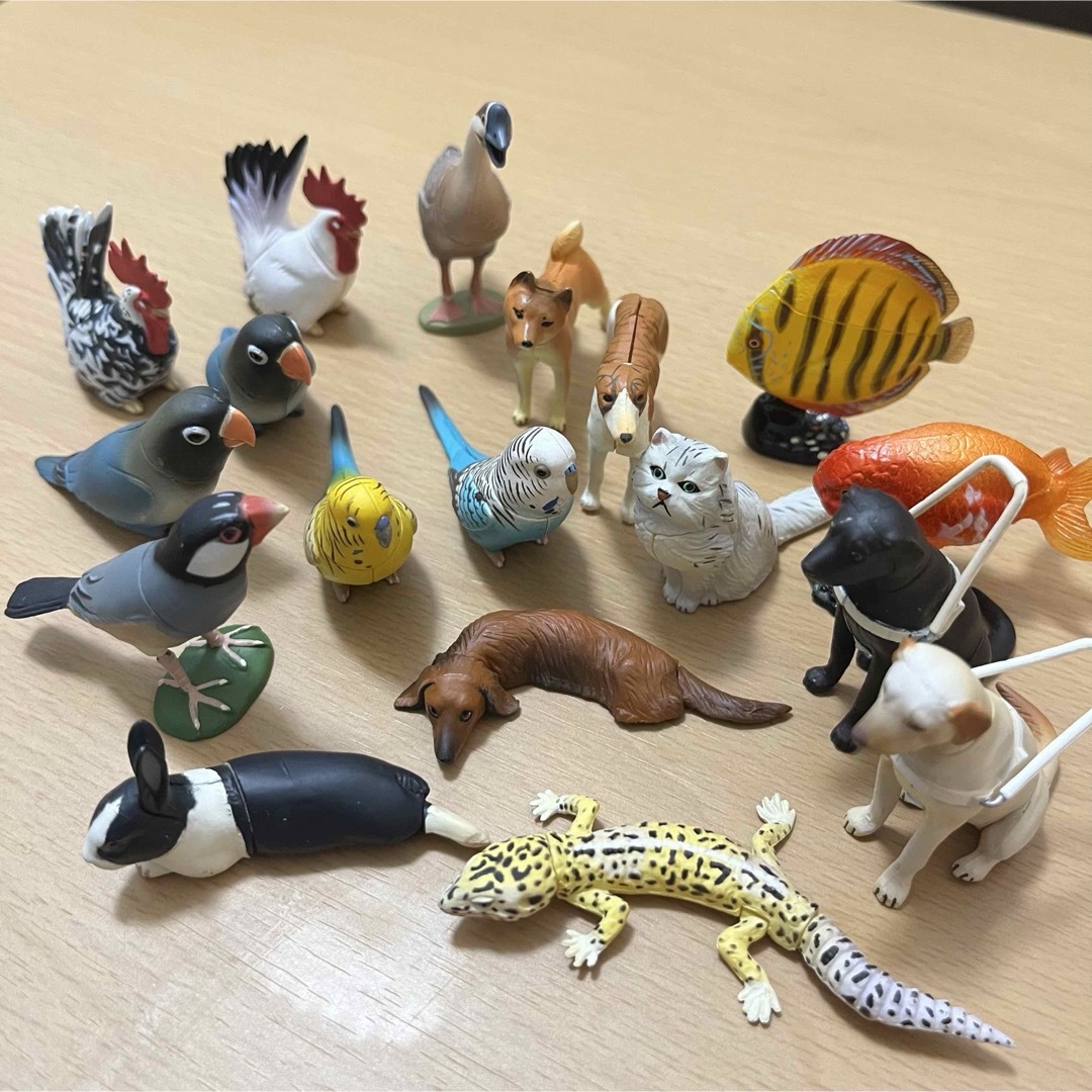 海洋堂 - 海洋堂 チョコエッグ 動物コレクション 17種(18体