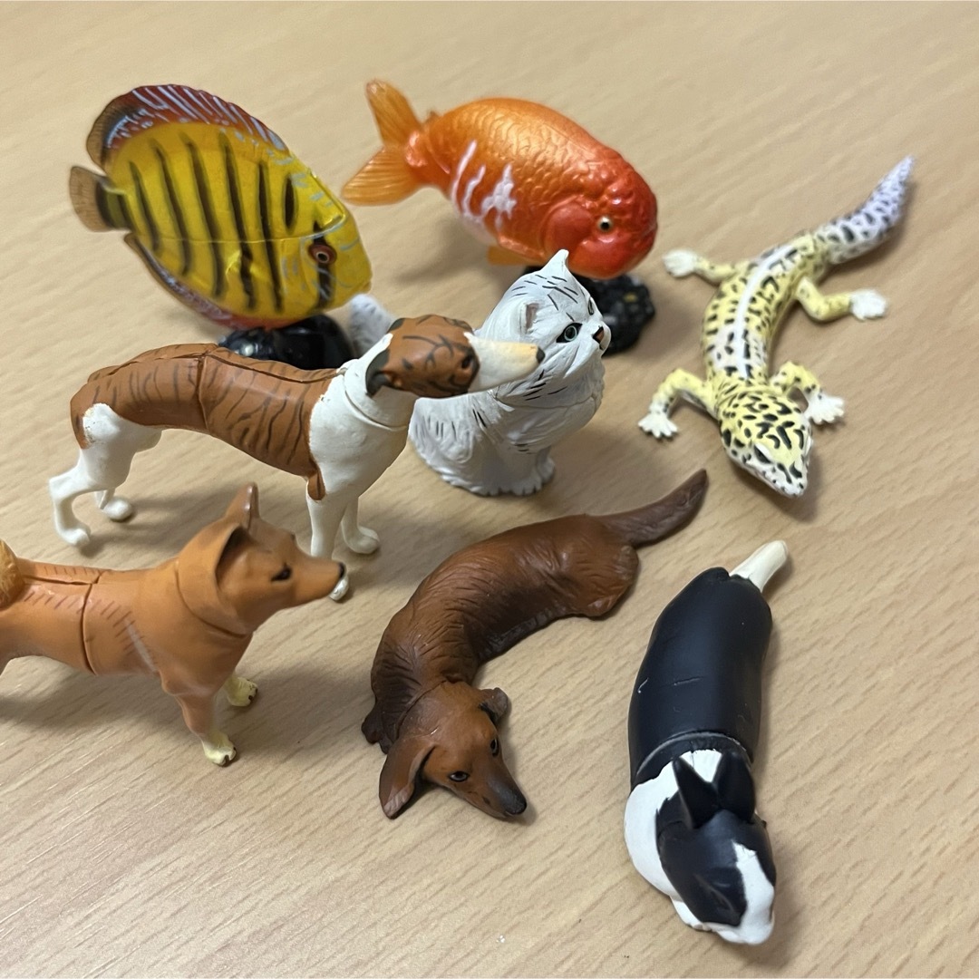 海洋堂 - 海洋堂 チョコエッグ 動物コレクション 17種(18体