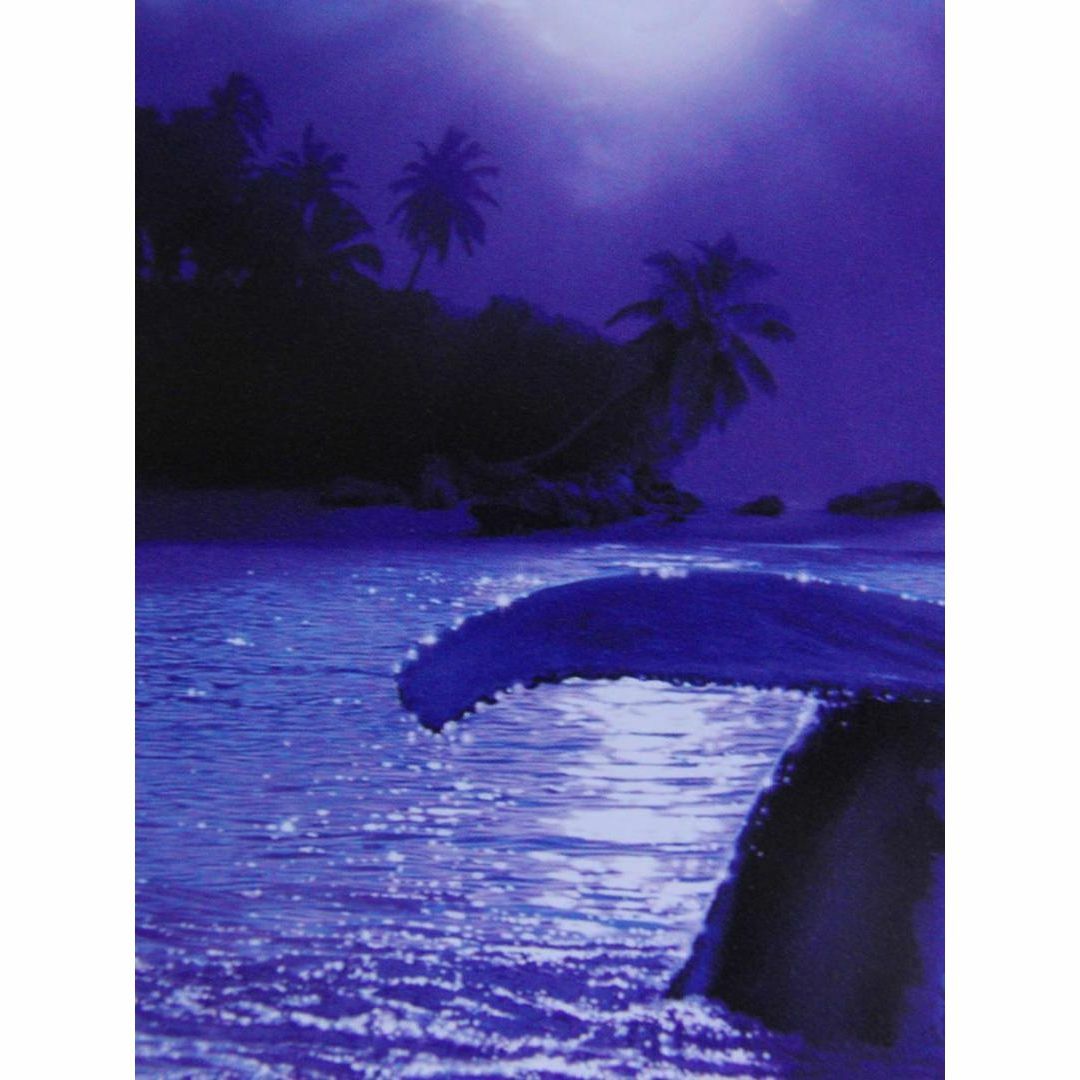 クリスチャン・ラッセン、【ミスティカル ライフ オブ シー】希少な