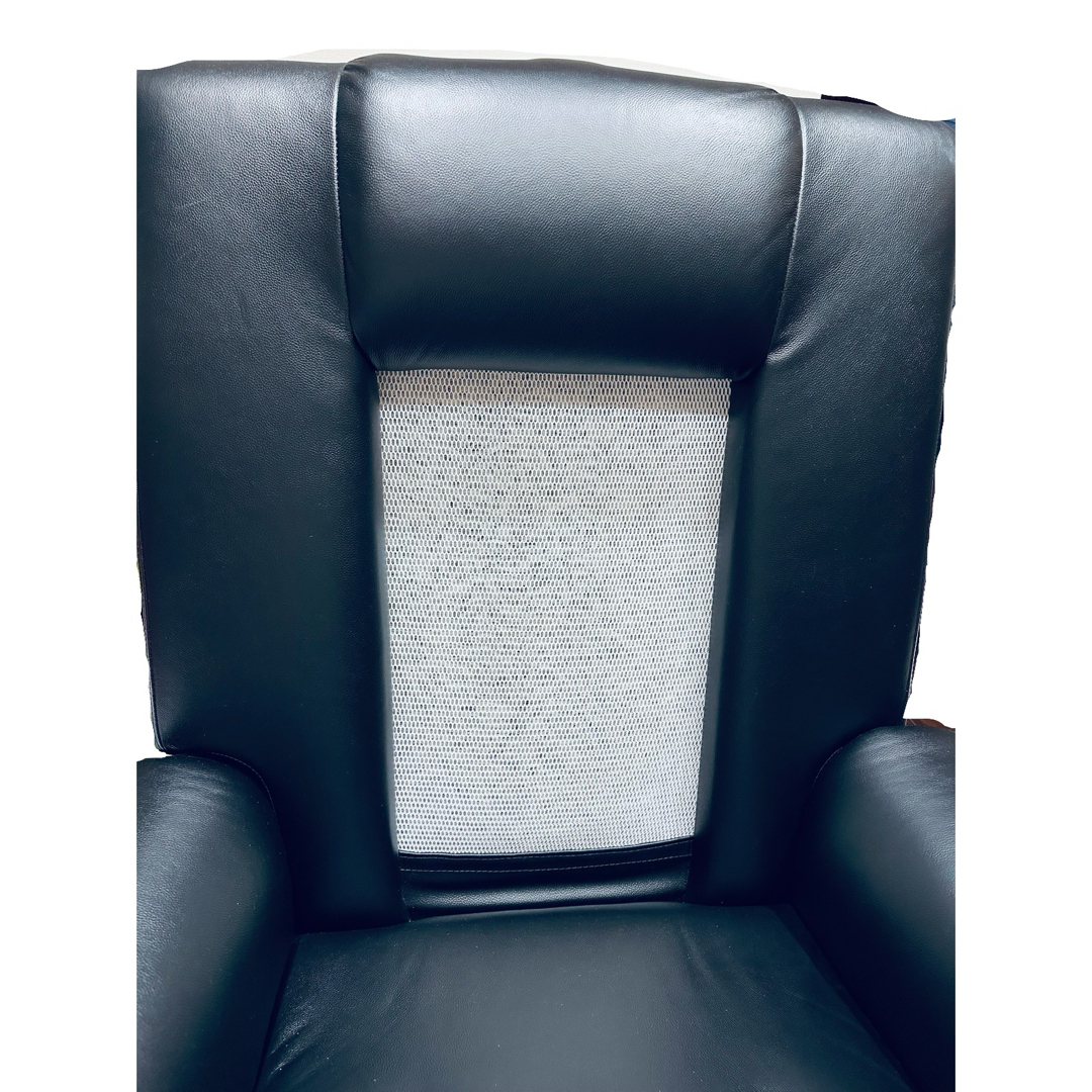 音響免疫療法 ボーンビートチェア 音響チェア 音響免疫チェア の通販