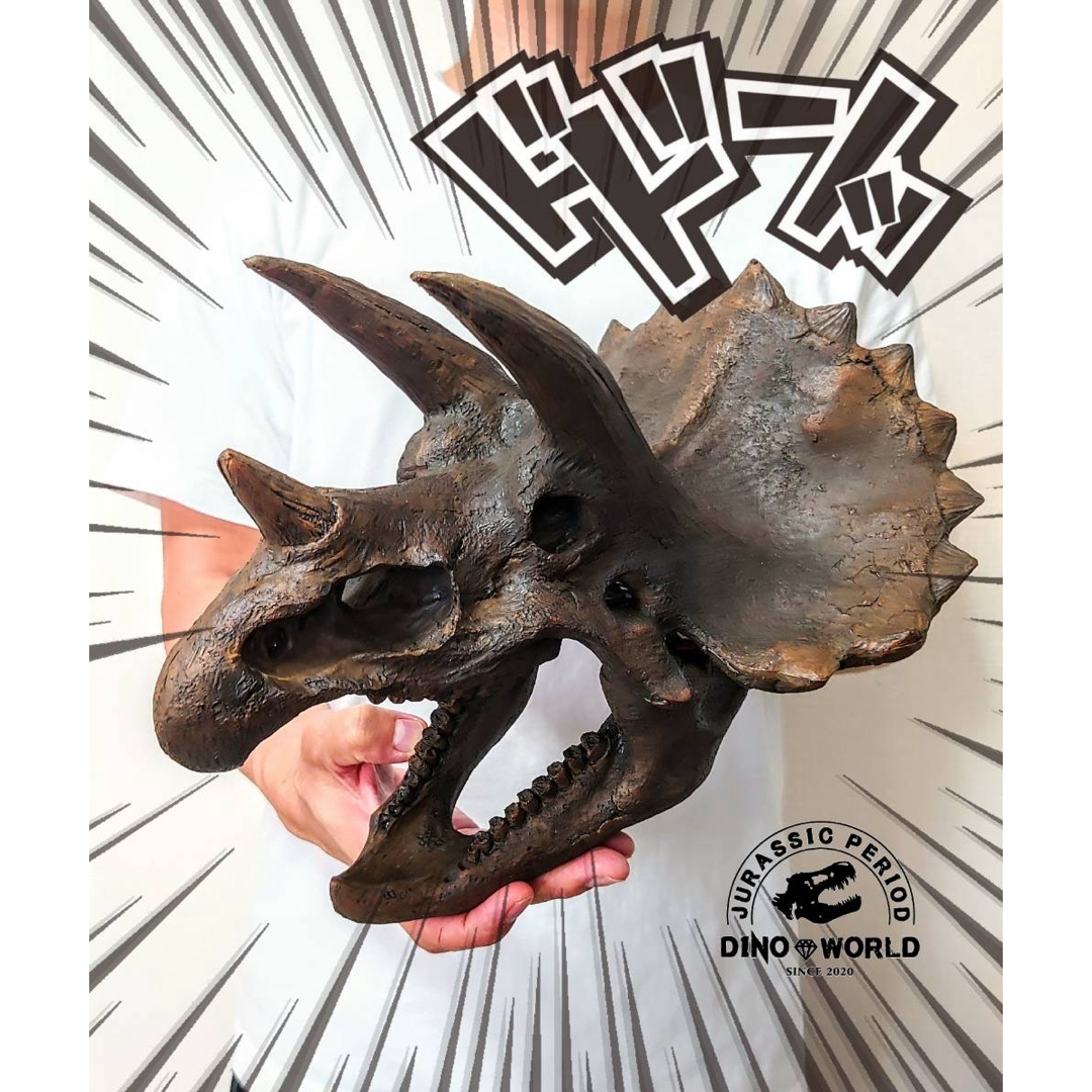 海洋堂 - トリケラトプス インテリア オブジェ 恐竜の化石