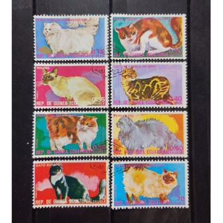 2183619813.jpg?1708453671