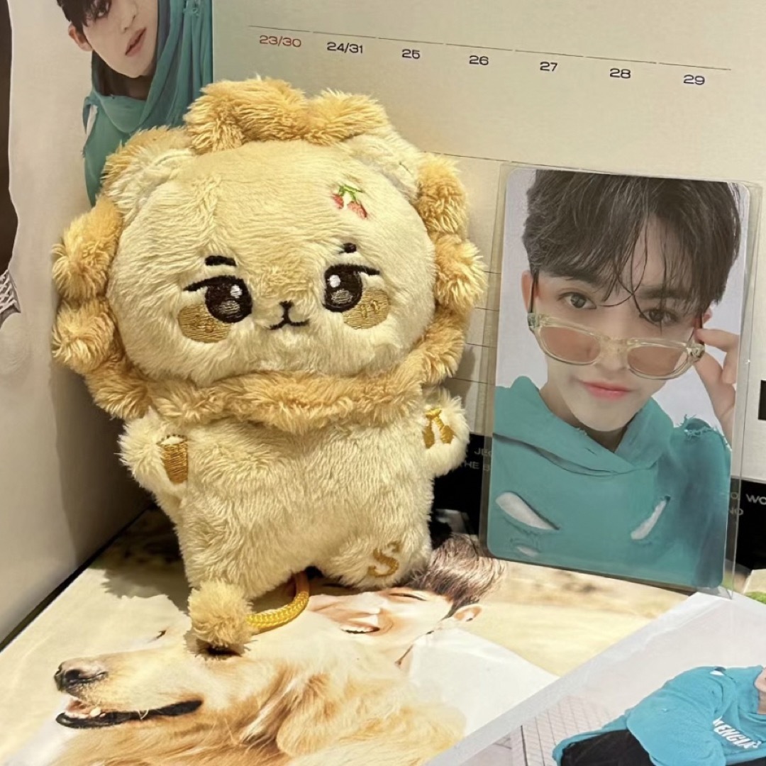 エスクプス ぬいぐるみ 10cm 新品 マスター セブチ seventeenの通販 by