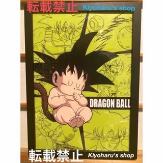 2200116877.jpg?1728901791