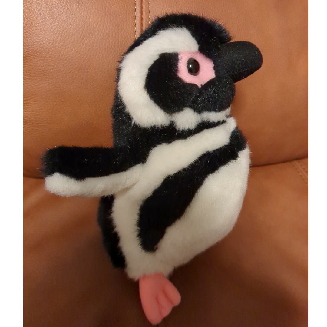 すみだ水族館 オリジナル 飼育員監修 マゼランペンギン ぬいぐるみの
