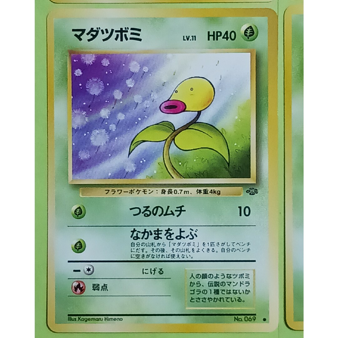 ポケモン - ポケカ マダツボミ ジャングル 旧裏 4枚セットの通販 by