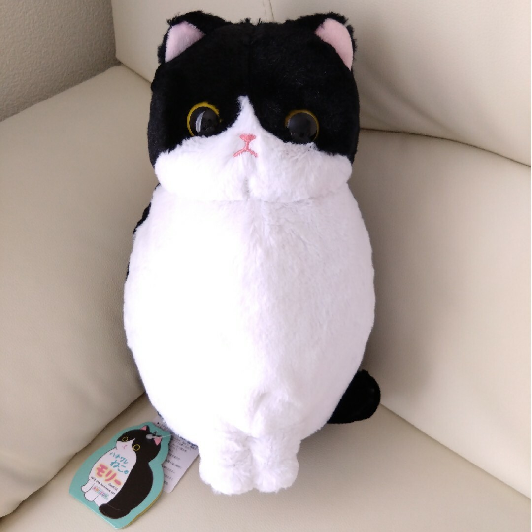 ハチワレねこのモリー AMUFAN アミュファン 猫 ぬいぐるみ ネコの通販