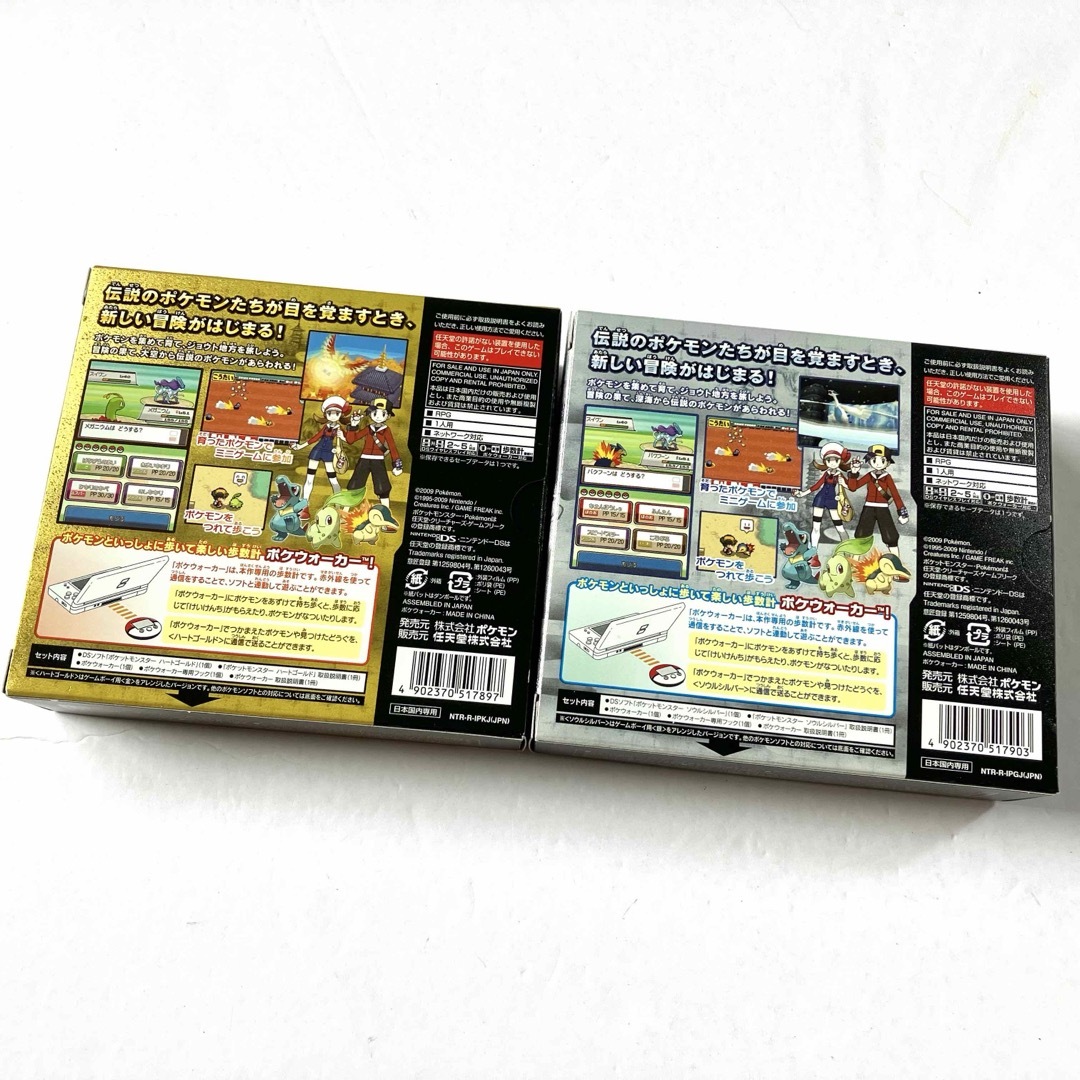 ニンテンドーDS - 【完備品】ポケットモンスター ハートゴールド