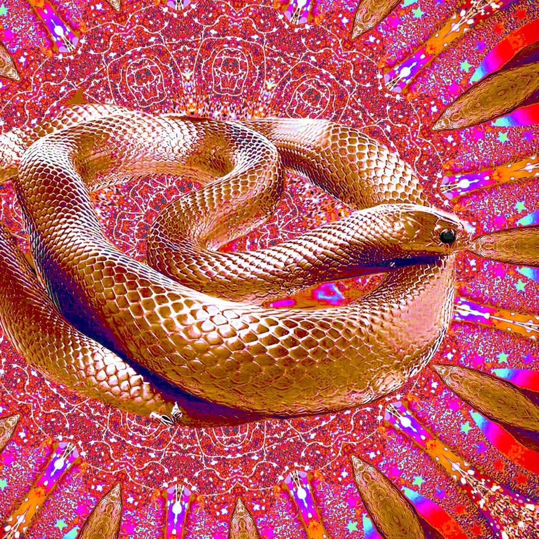 幸福呼ぶ金蛇 額付 開運と幸福絵画•風水癒しとヒーリング