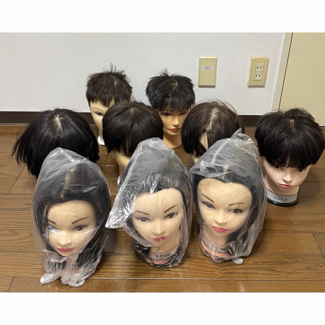ユーカリージャパン カットウィッグ国家試験練習用10個セット 値下げ