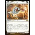 FOIL】マジックザギャザリング MH3 JP 0040 溌剌の牧羊犬、フィリア