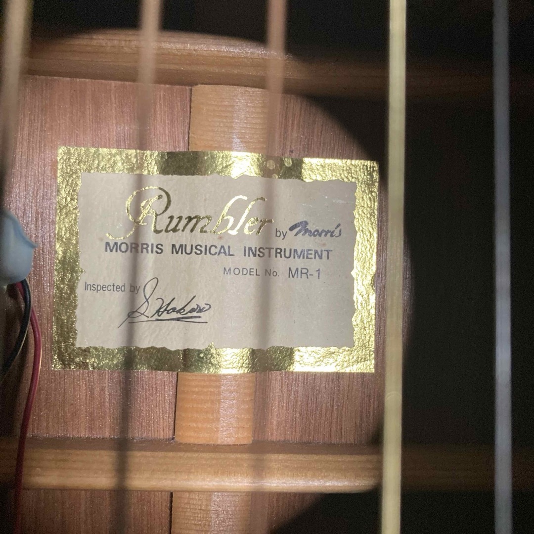 MORRIS - レア Morris Rumbler MR1エレアコ グリーン アコギもOK！の