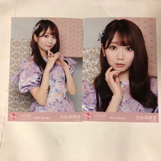 2293119120.jpg?1718437027