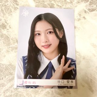 2294381991.jpg?1718556770