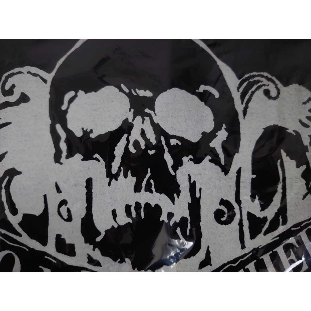 B'z - B'z ビーズ 稲葉浩志 松本孝弘 Tシャツ ツアーグッズ ビーイング