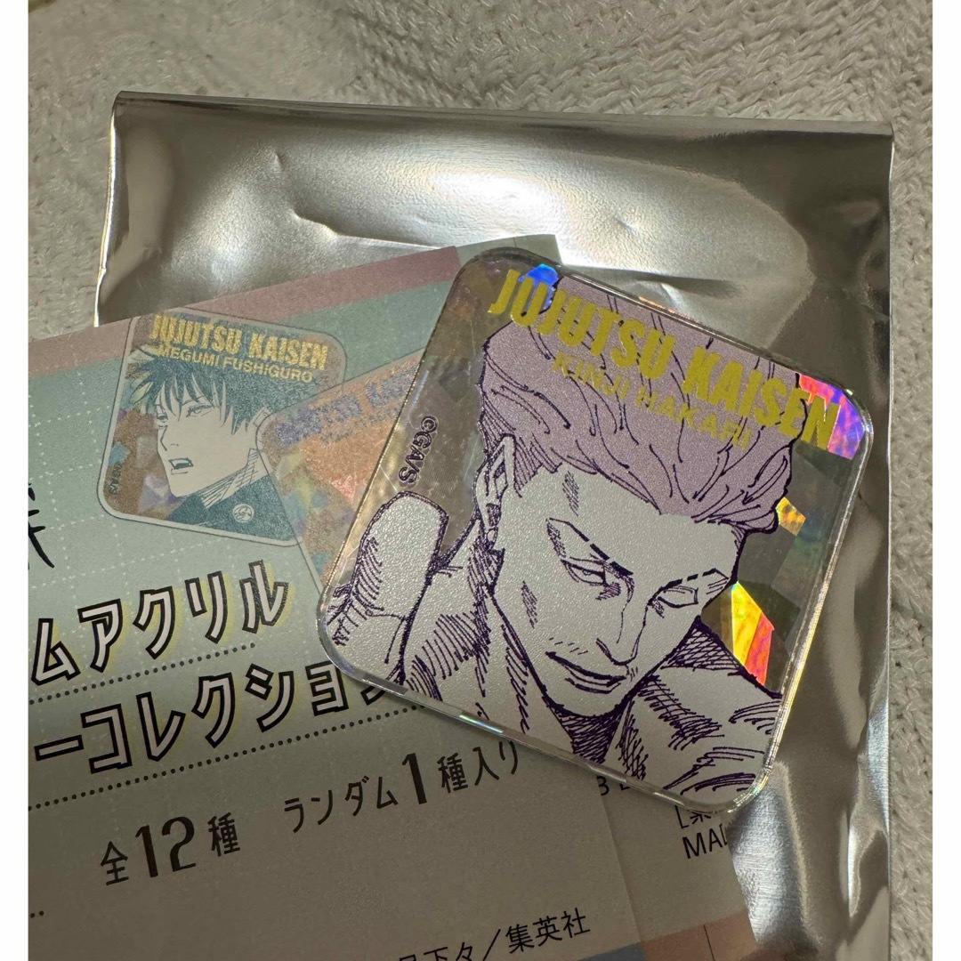 呪術廻戦 - 呪術廻戦 ホログラムアクリルステッカーコレクション 第1弾