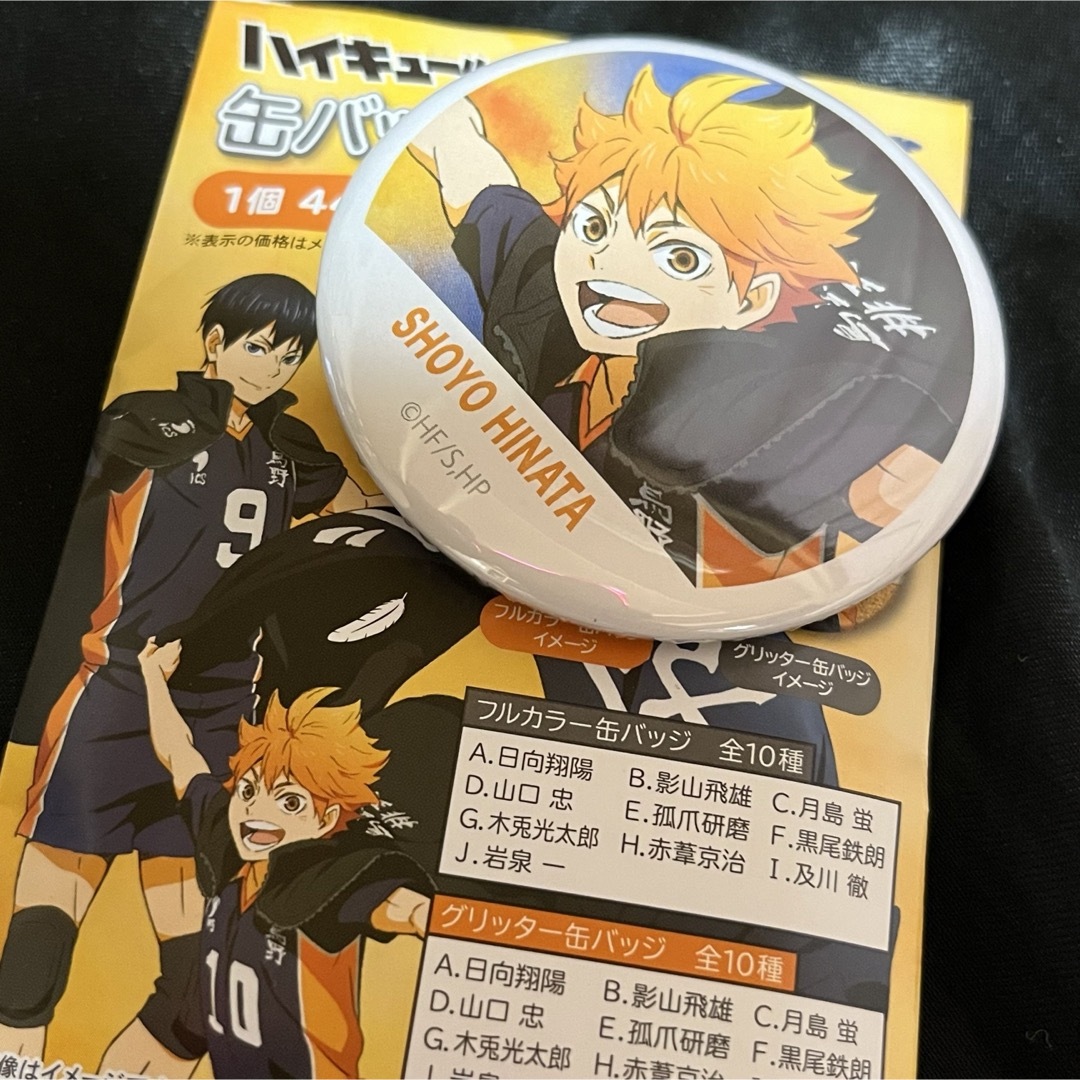 集英社 - ハイキュー 横断幕 缶バッジコレクション 日向翔陽の通販 by