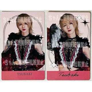 2368228433.jpg?1725821487