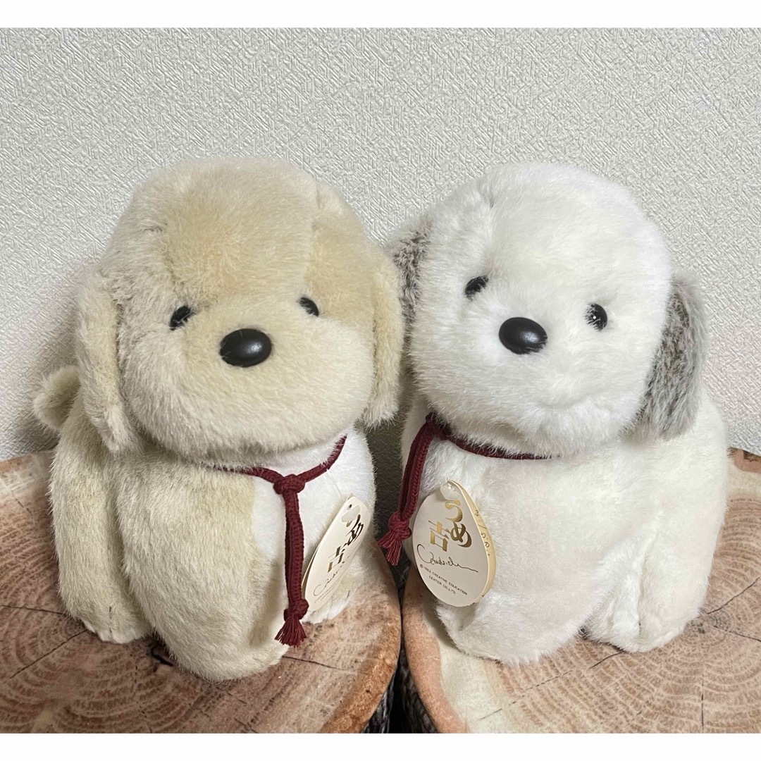 うめ吉 犬 ぬいぐるみ ベージュ＆ホワイト 2匹セットの通販 by meria's