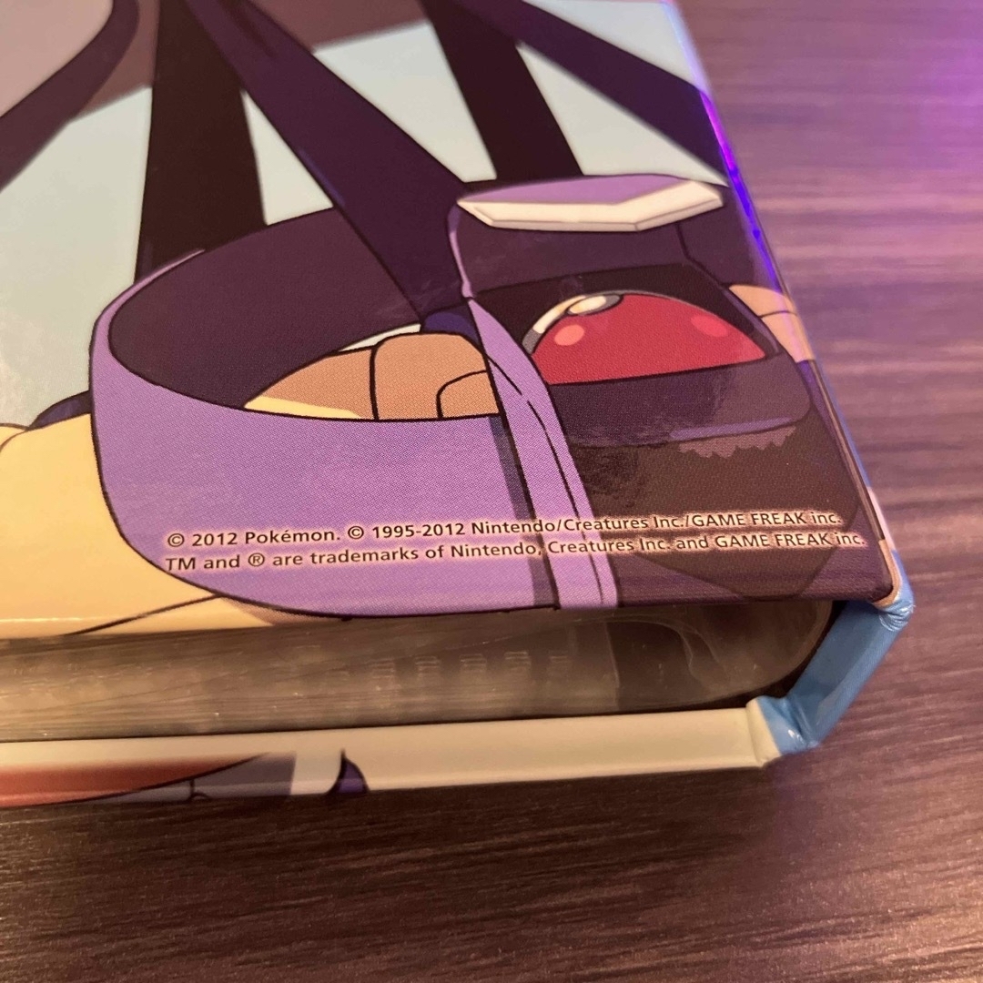 ポケモン - フウロ ポケモンカード サプライ カードファイル＆デッキ