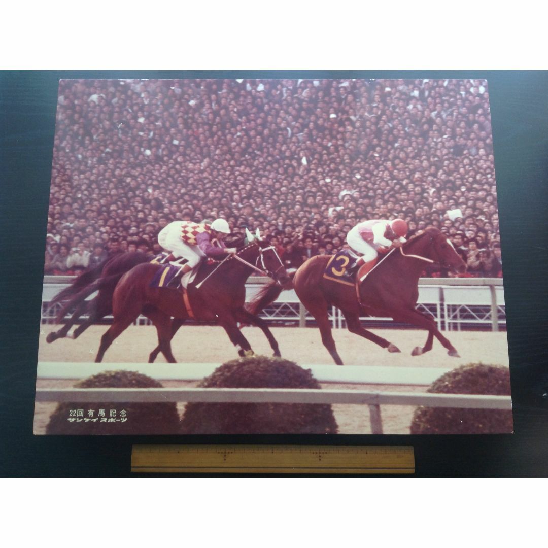 1977年有馬記念写真パネル 【公式通販】