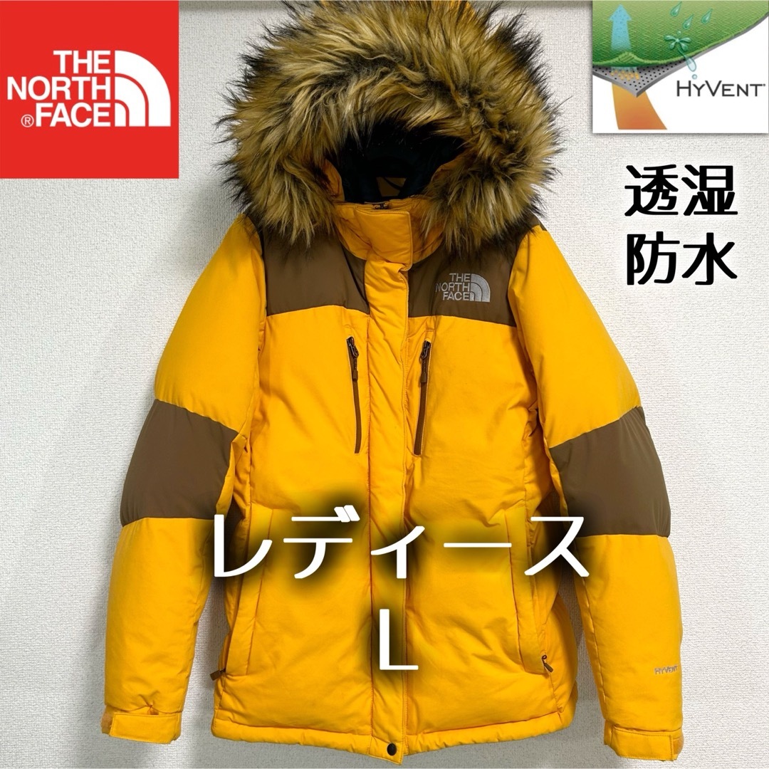 THE NORTH FACE - 海外限定 ノースフェイス バルトロライトジャケット