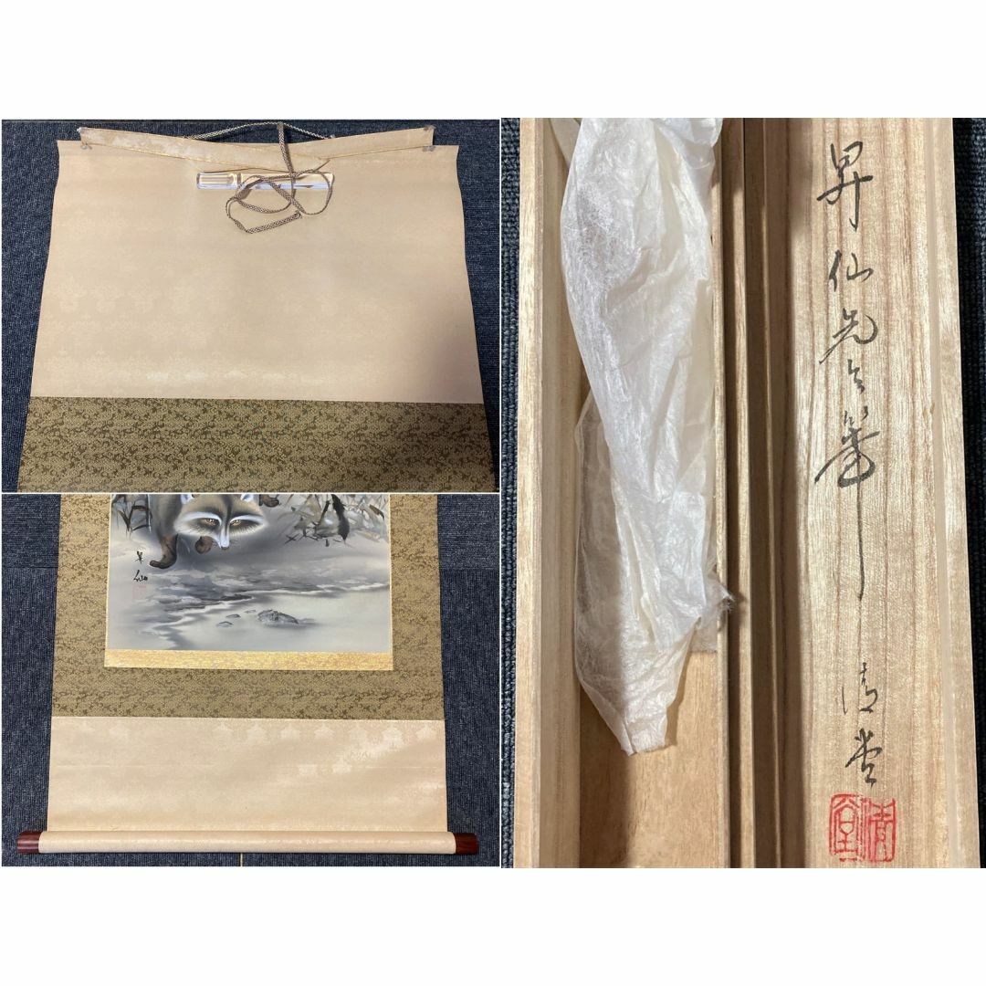 掛軸 昇仙『狸之図 たぬき』絹本 肉筆 共箱付 掛け軸 No.1609の通販 by