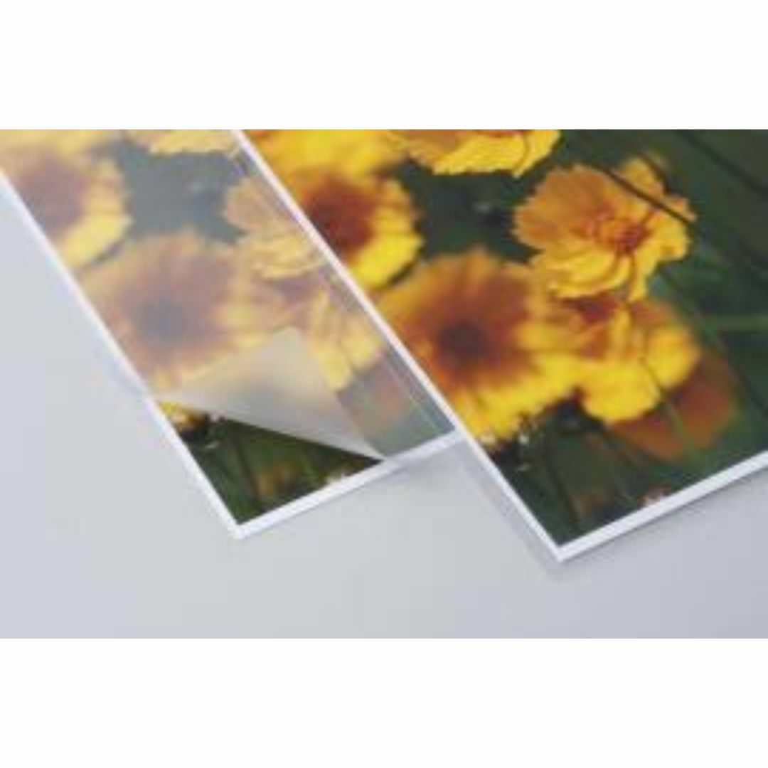 河合奈保子015 特大A4写真 ラミネート加工防水 昭和 ビキニの通販 by