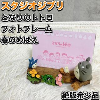 ジブリ - トトロ フォトフレーム 写真立て 箱なしの通販 by めぇめ's