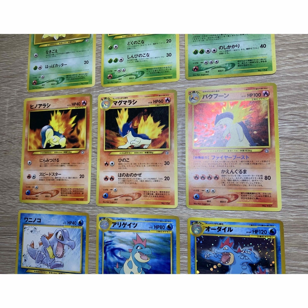 ポケモン - Neoプレミアムファイル：メガニウム/バクフーン/オーダイル