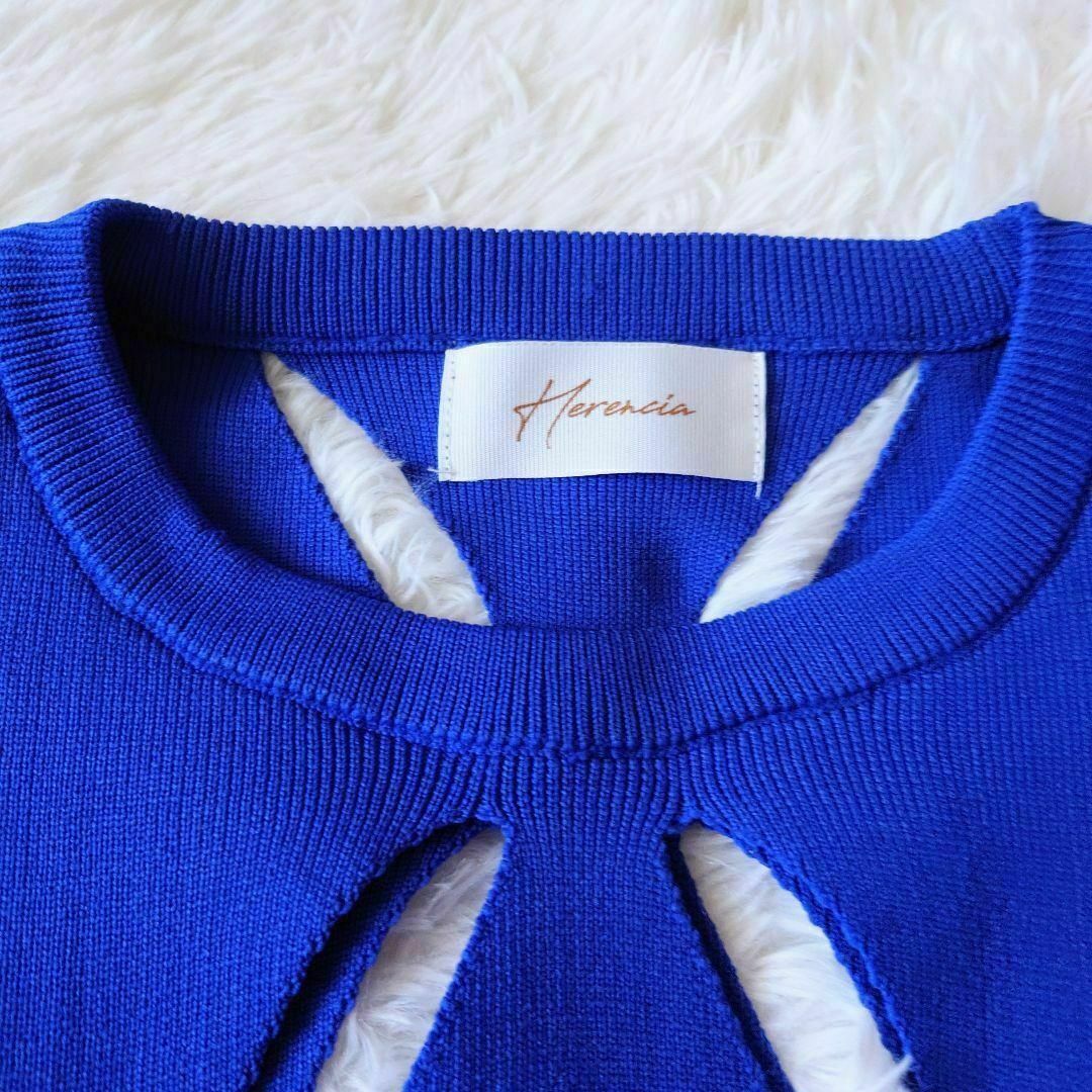 HERENCIA - 極美品【レアカラー】ヘレンチア アイレネ ふじあみ