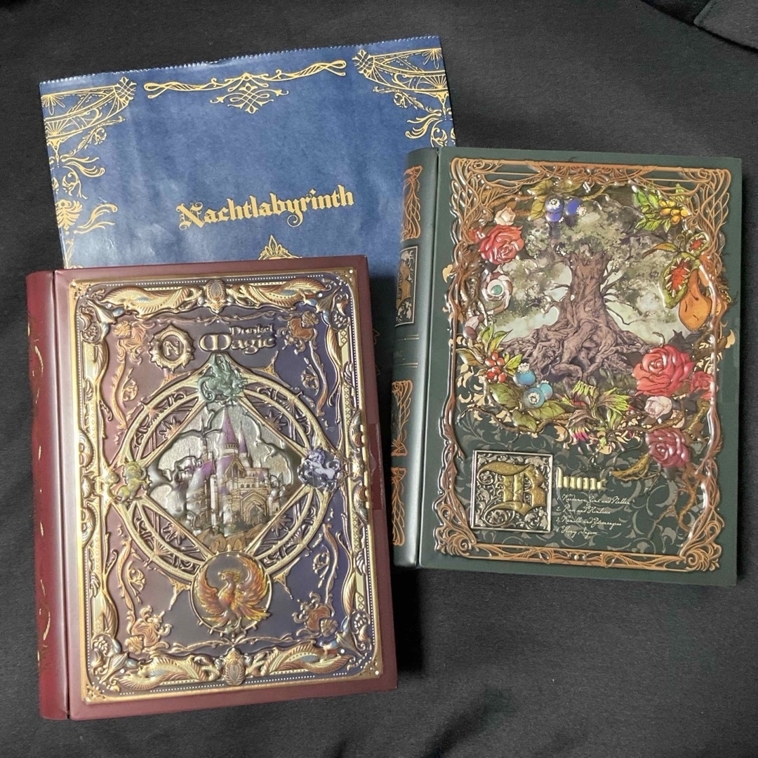 メリー - ナハトラビュリント ドゥンケルマギー・ブルーメ・シュテルン