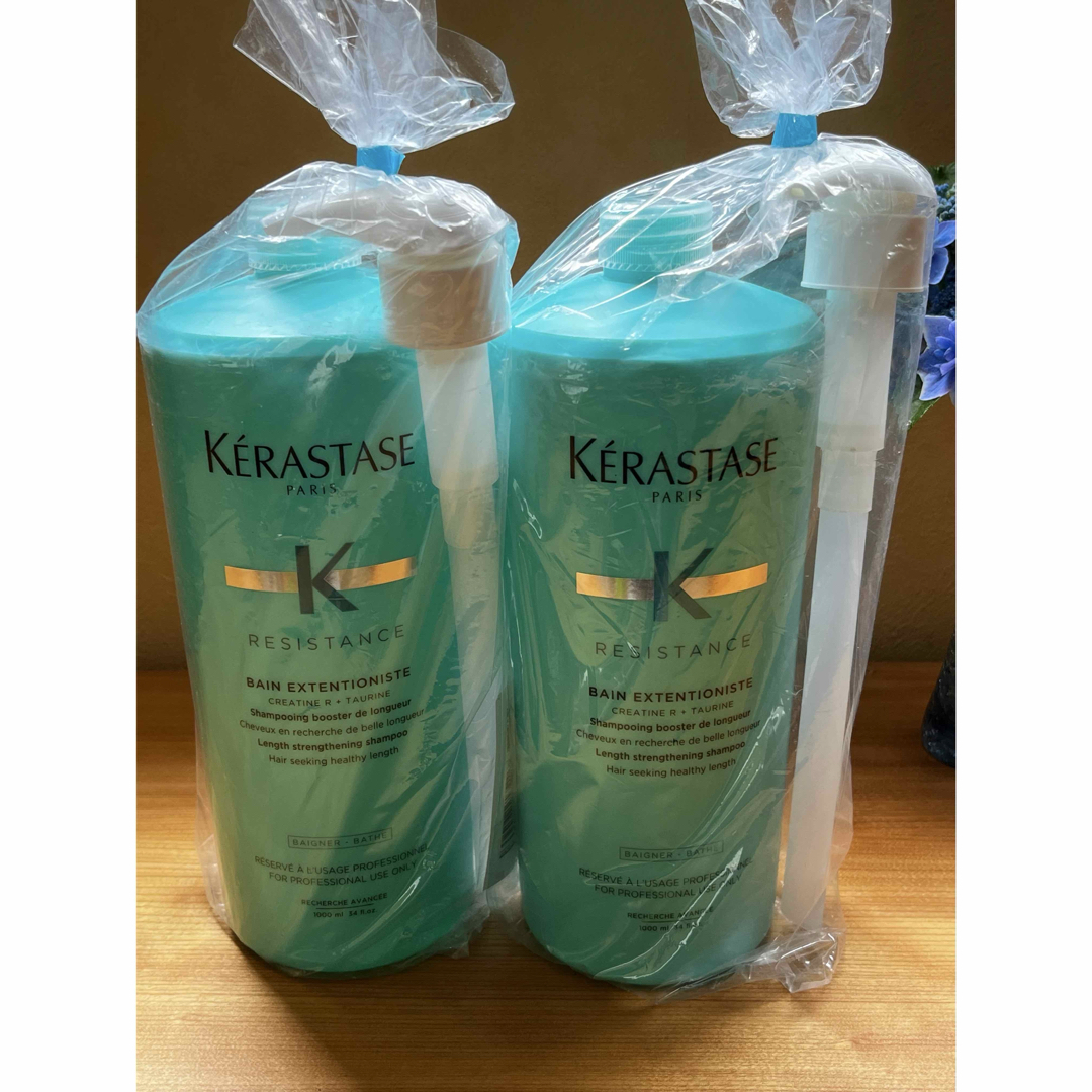 ケラスターゼ RE バン エクステンショニスト1000ml ポンプ付 製品情報