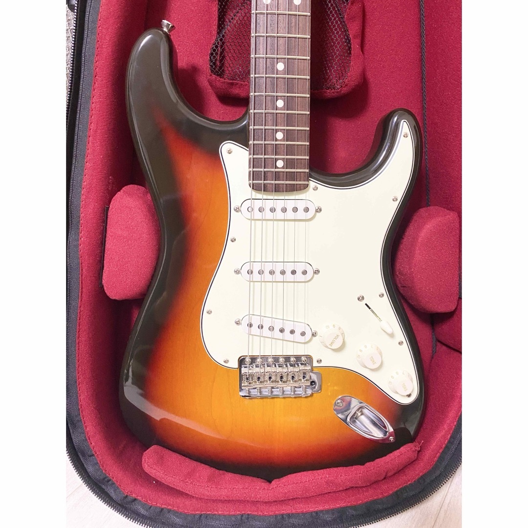 VanZandt - VanZandt STV-R2 3TS ストラトキャスター ソフトケース付き