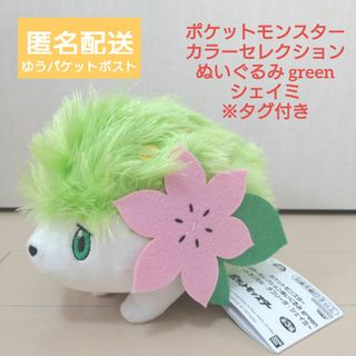 2593351769.jpg?1748138922