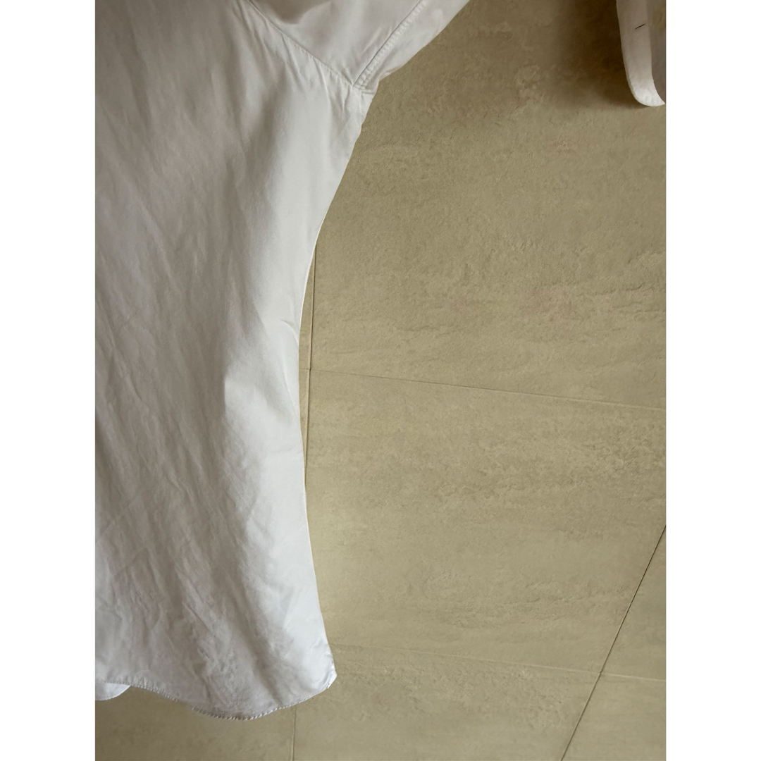 BARBA（バルバ）DANDY LIFE ブロードソリッド カッターウェイ 41