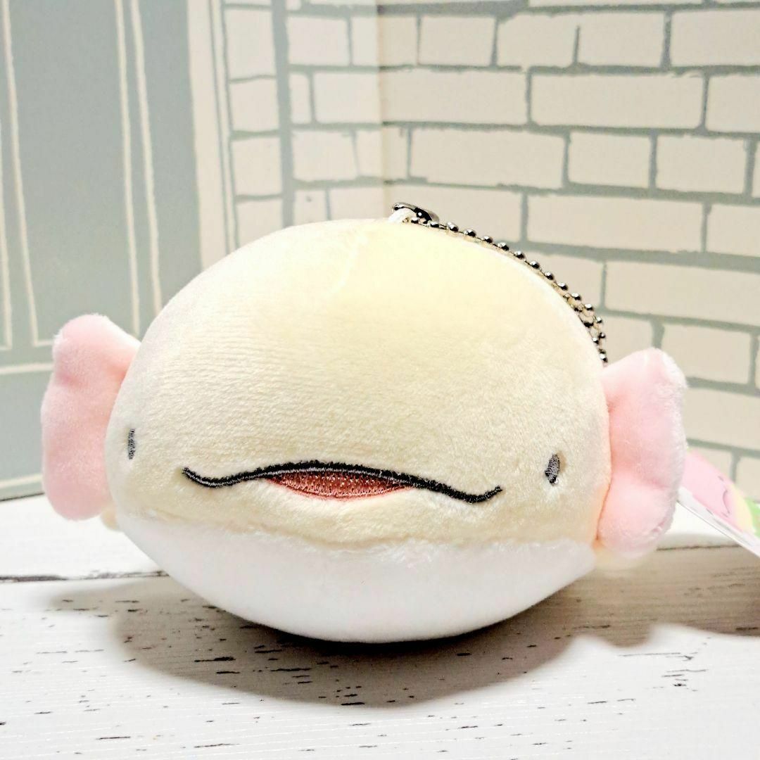 非売品】もちもち ウーパールーパー ぬいぐるみの通販 by キャラメル