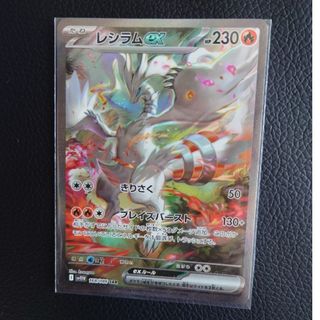 2621338613.jpg?1751251493