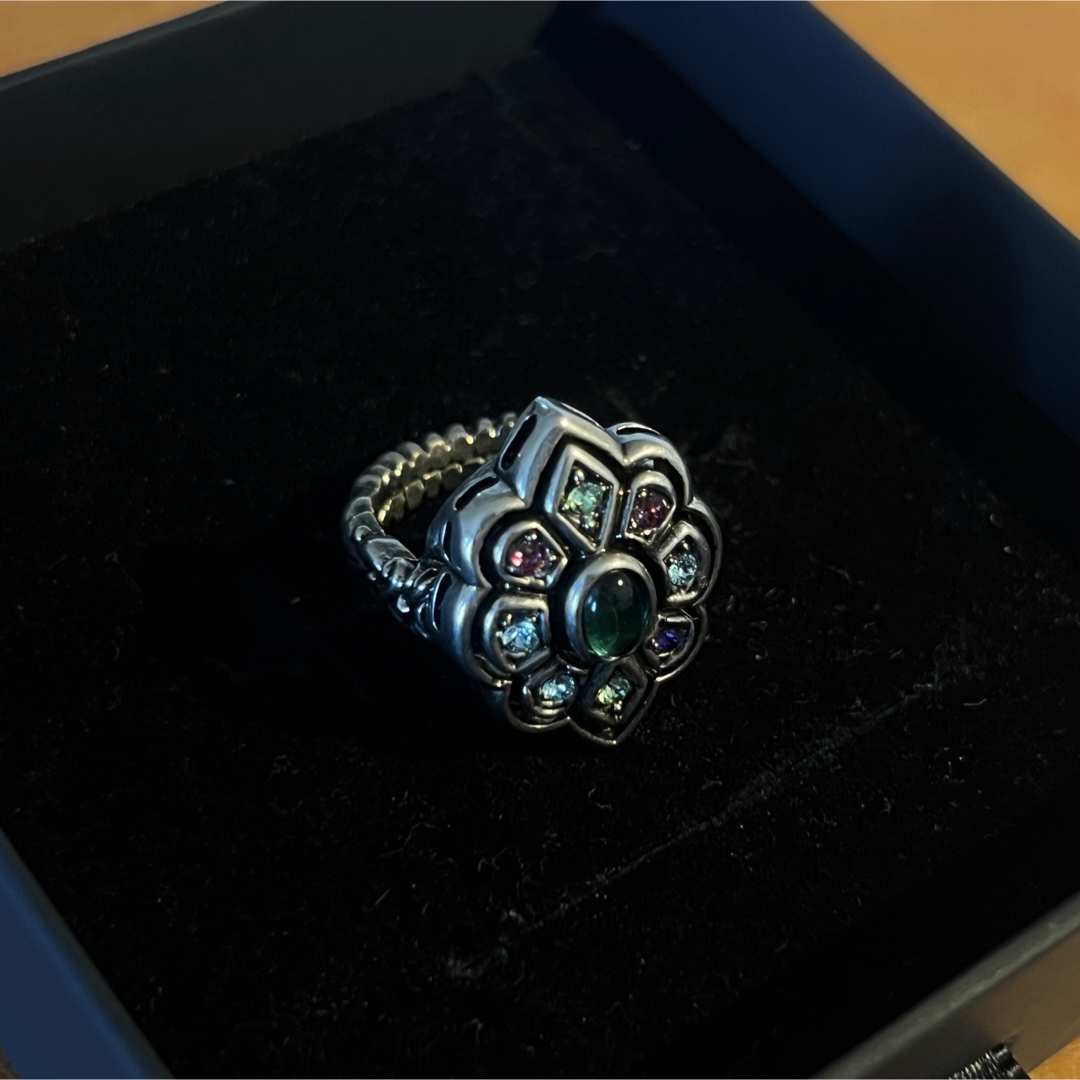 GUCCI - GUCCI アレッサンドロミケーレ マルチカラーリングの通販 by