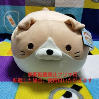 ドウシシャ - ごろねこサミット❥ニノミヤの通販 by 🐰プロフィール